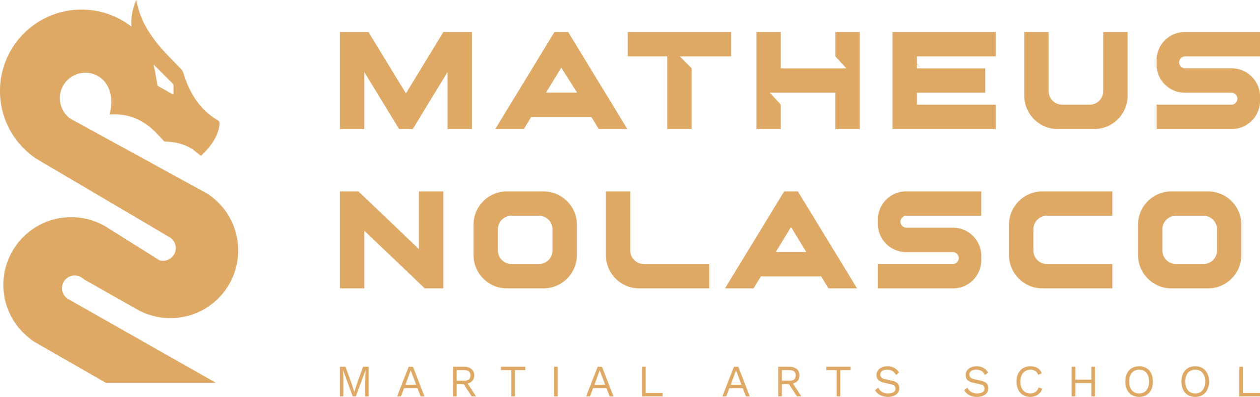 Matheus Nolasco Martial Arts School